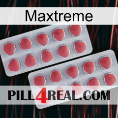 Maxtreme 19